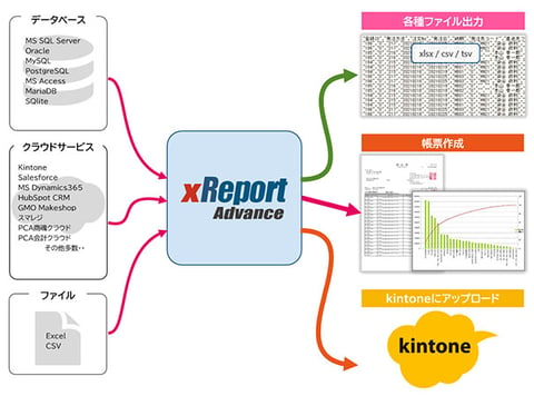 xReport Advance