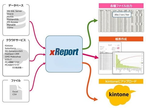 xReport Advance